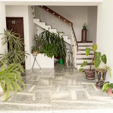 شقة Marilia's Place Ponta Delgada